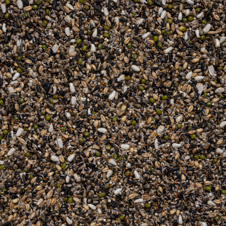 Seminte germinate Cinteze [1]