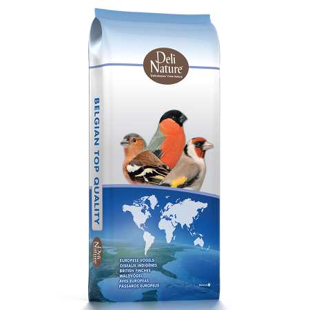 Cinteze - Seminte germinate Cinteze