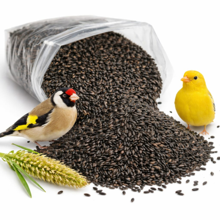 Seminte simple - Semințe Niger pentru Canari și Păsări Exotice