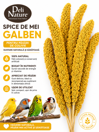 Hrana pentru Perusi - Spice de mei galben franțuzesc Deli Nature pentru păsări