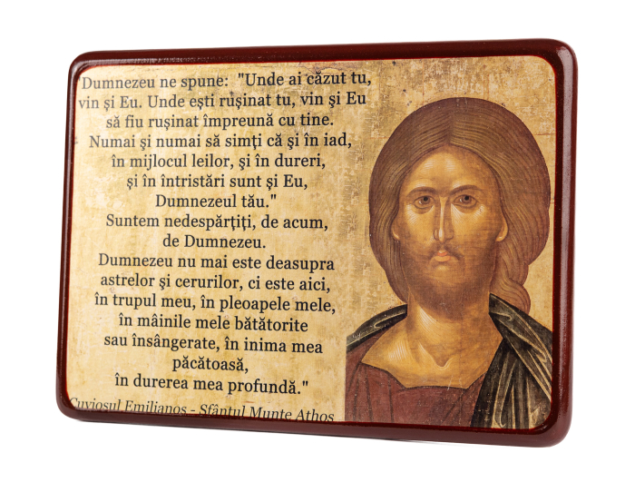 Icoană/ Tablou text Despre durere [2]