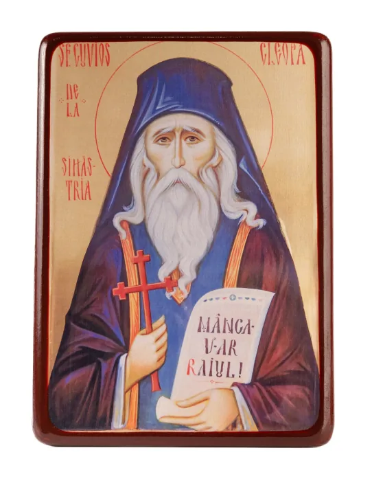 Alte icoane ortodoxe - Icoană Sf. Cuv. Cleopa de la Sihăstria