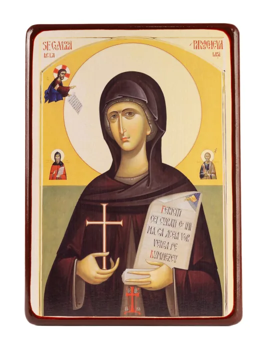 Alte icoane ortodoxe - Icoană Sf. Cuv. Parascheva