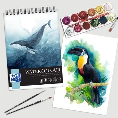 BLOC DESEN OXFORD WATERCOLOUR A4 10F 300G/MP SPIRA FSCÂ® MIX70% COLECTIA ARTISTIC [3]