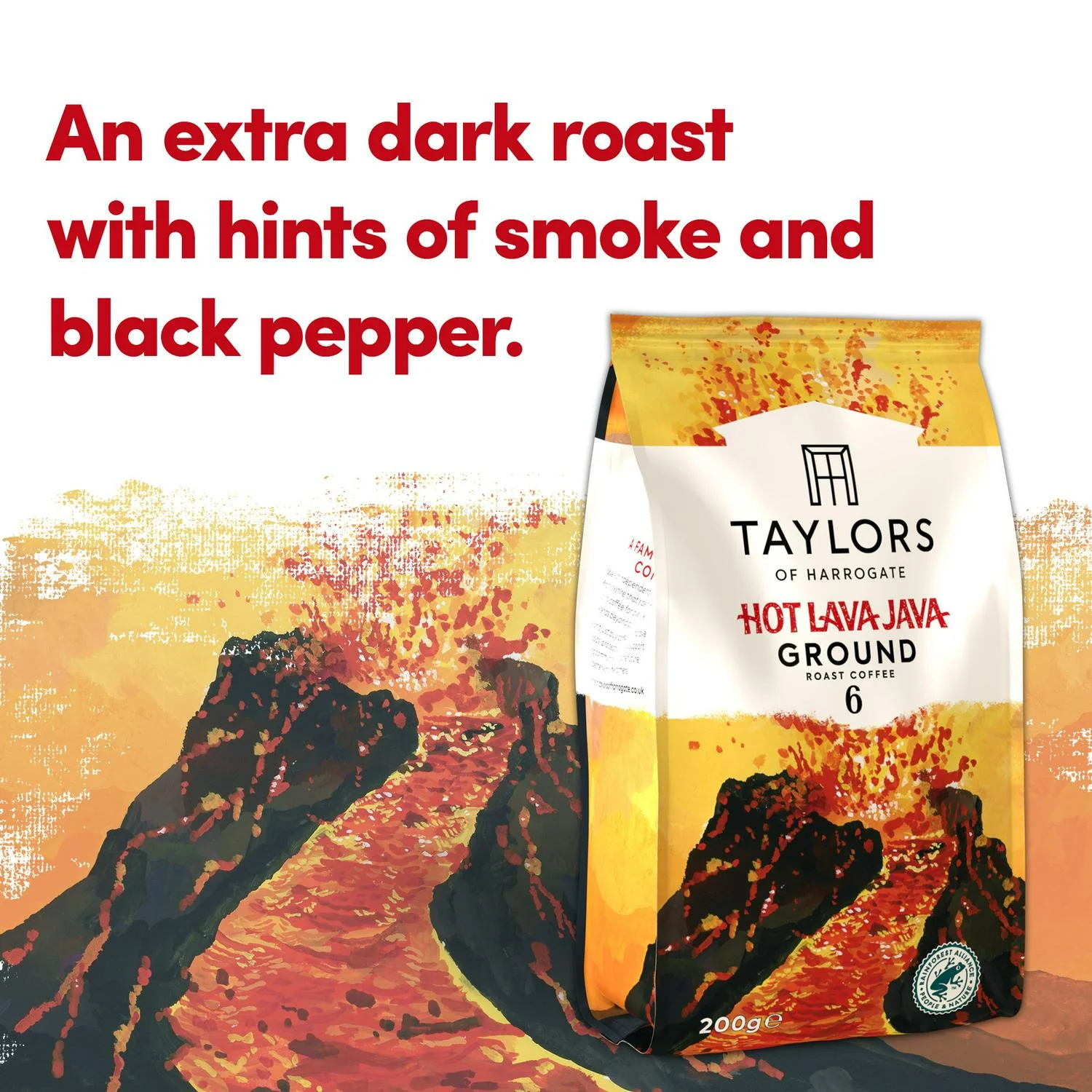 Cafea macinata Hot Lava Java, Taylors of Harrogate, Arabica & Robusta, 200 g [2]