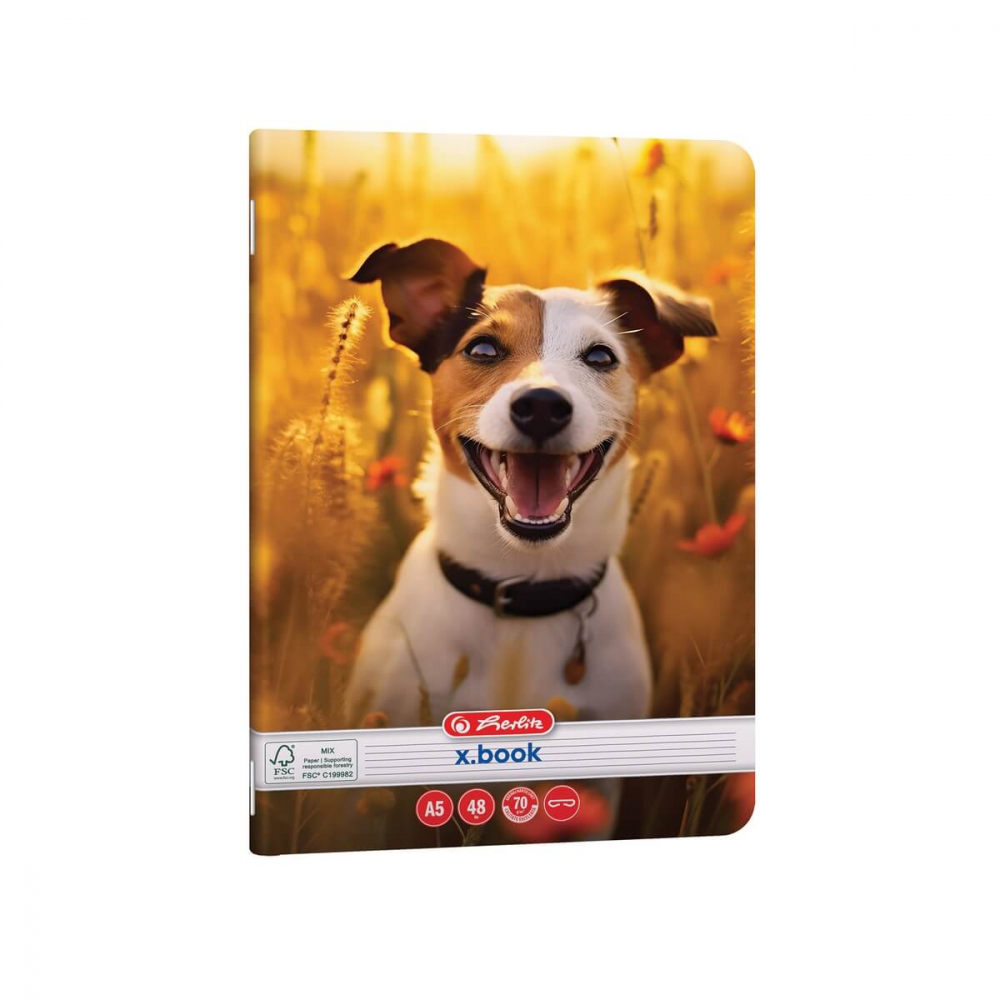 Caiet-Cool-Dog-A5-48-dictando-2025_2 [2]