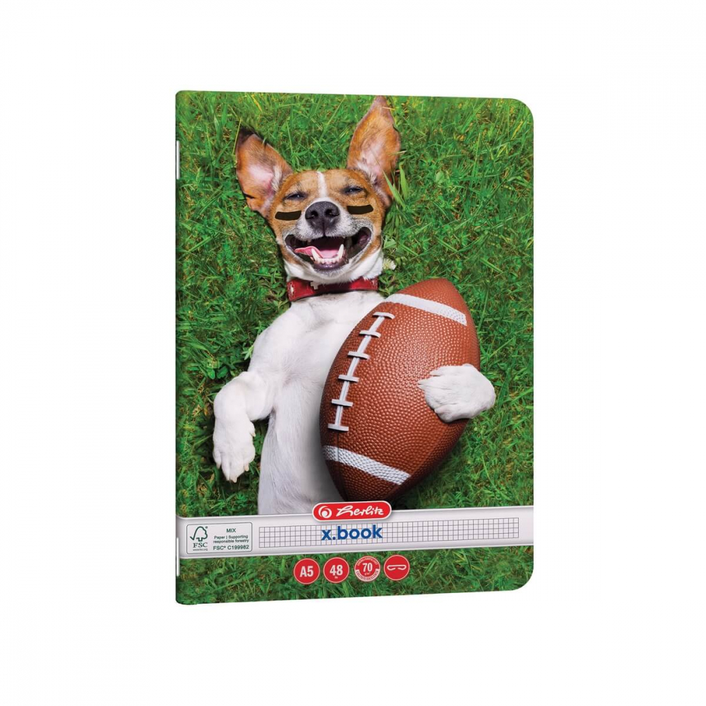 Caiet A5 48 file matematica Herlitz Cool Dog [2]