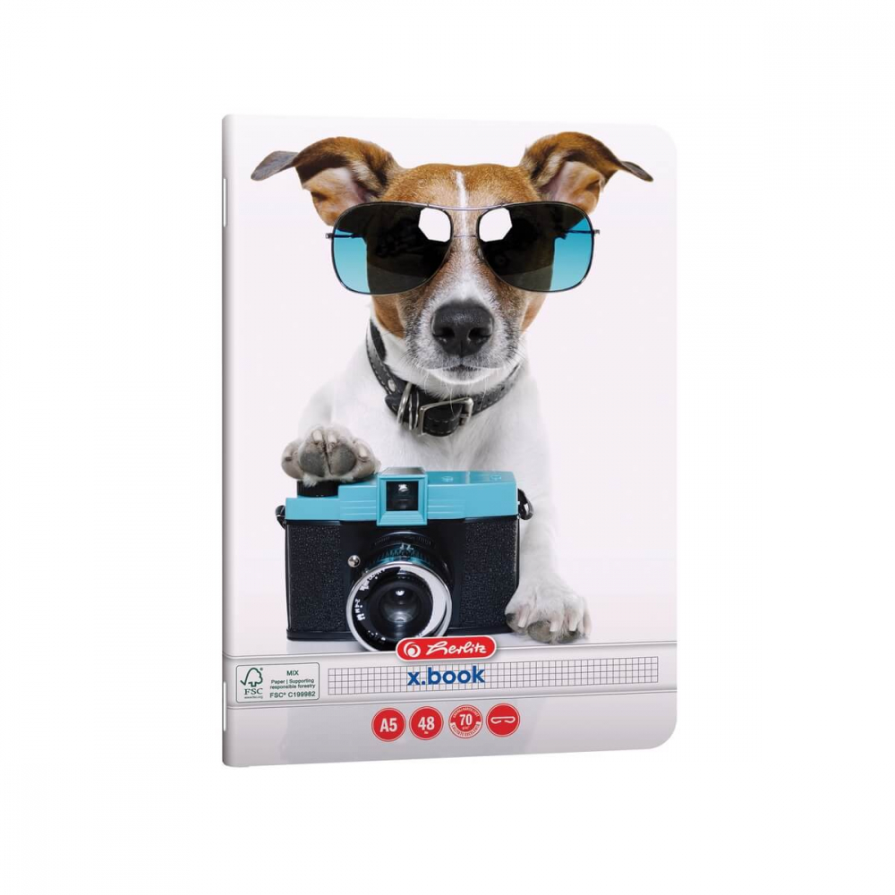 Caiet A5 48 file matematica Herlitz Cool Dog [1]