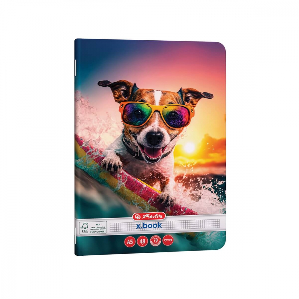 Caiet A5 48 file matematica Herlitz Cool Dog [3]