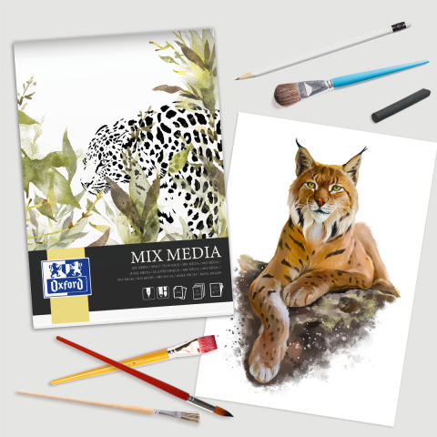 Blocuri de desen - BLOC DESEN OXFORD MIX MEDIA A4 25F 225G/MP FSCÂ® MIX70% COLECTIA ARTISTIC