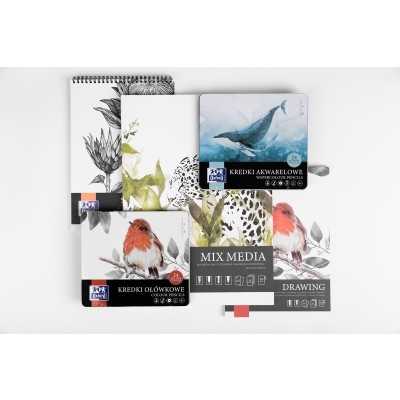 Blocuri de desen - Bloc desen Oxford Sketching A4, 50 file, hartie 120g, Colectia Artistic