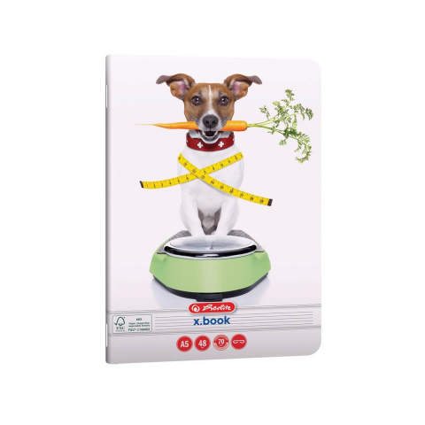 Caiet-Cool-Dog-A5-48-dictando-2025_2 [2]