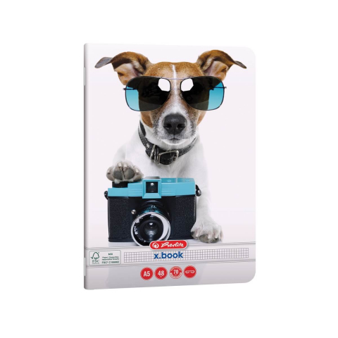 Caiete capsate - Caiet A5 48 file matematica Herlitz Cool Dog