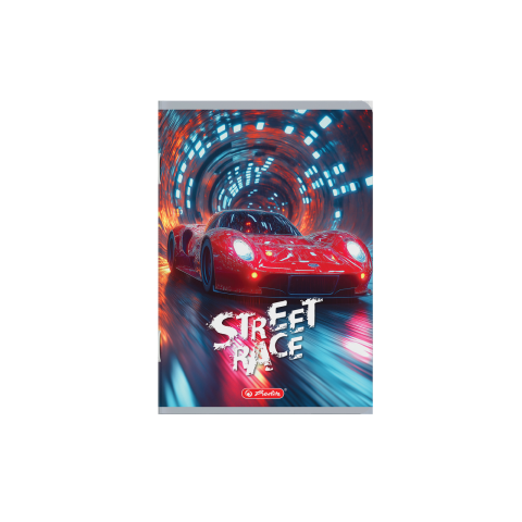 CAIET A5 48F 70G/MP FSCÂ® DICTANDO DIVERSE MOTIV MEGAMIX 3 [1]