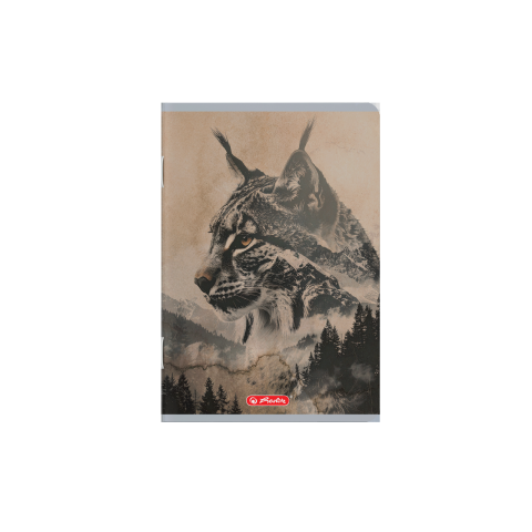 CAIET A5 48F 70G/MP FSCÂ® VELIN DIVERSE MOTIVE [3]