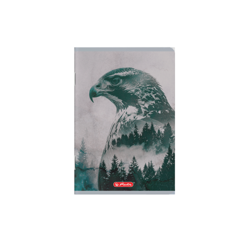 CAIET A5 48F 70G/MP FSCÂ® VELIN DIVERSE MOTIVE [4]