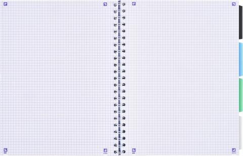CAIET ORG OXFORD PROJECT BOOK A4 80F SPIRA SCRIBZEE PEFC PATRATELE GRADIENT CLASSIC DIVERSE CULORI [2]