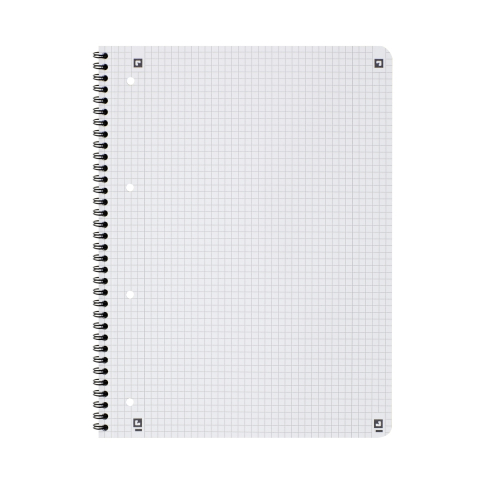 CAIET OXFORD TOUCH DUO A4+ 80F SCRIBZEE ECOLABEL DICTANDO+PATRATELE ALBASTRU AQUA [4]