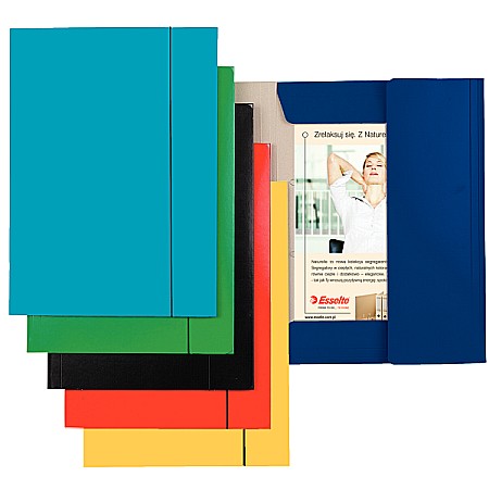 Mape din carton si plastic - Mapa cu elastic Esselte A4 carton bleu