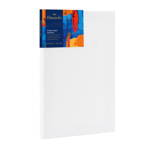 Panza pentru pictura si Carton panzat - PANZA PENTRU PICTURA PE SASIU 20*30CM DELI