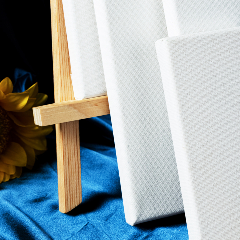 PANZA PENTRU PICTURA PE SASIU 40*50CM DELI [1]