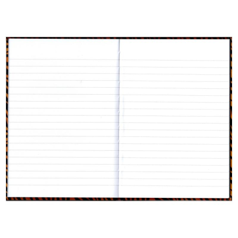 Registru A4 192 file dictando Educa [1]