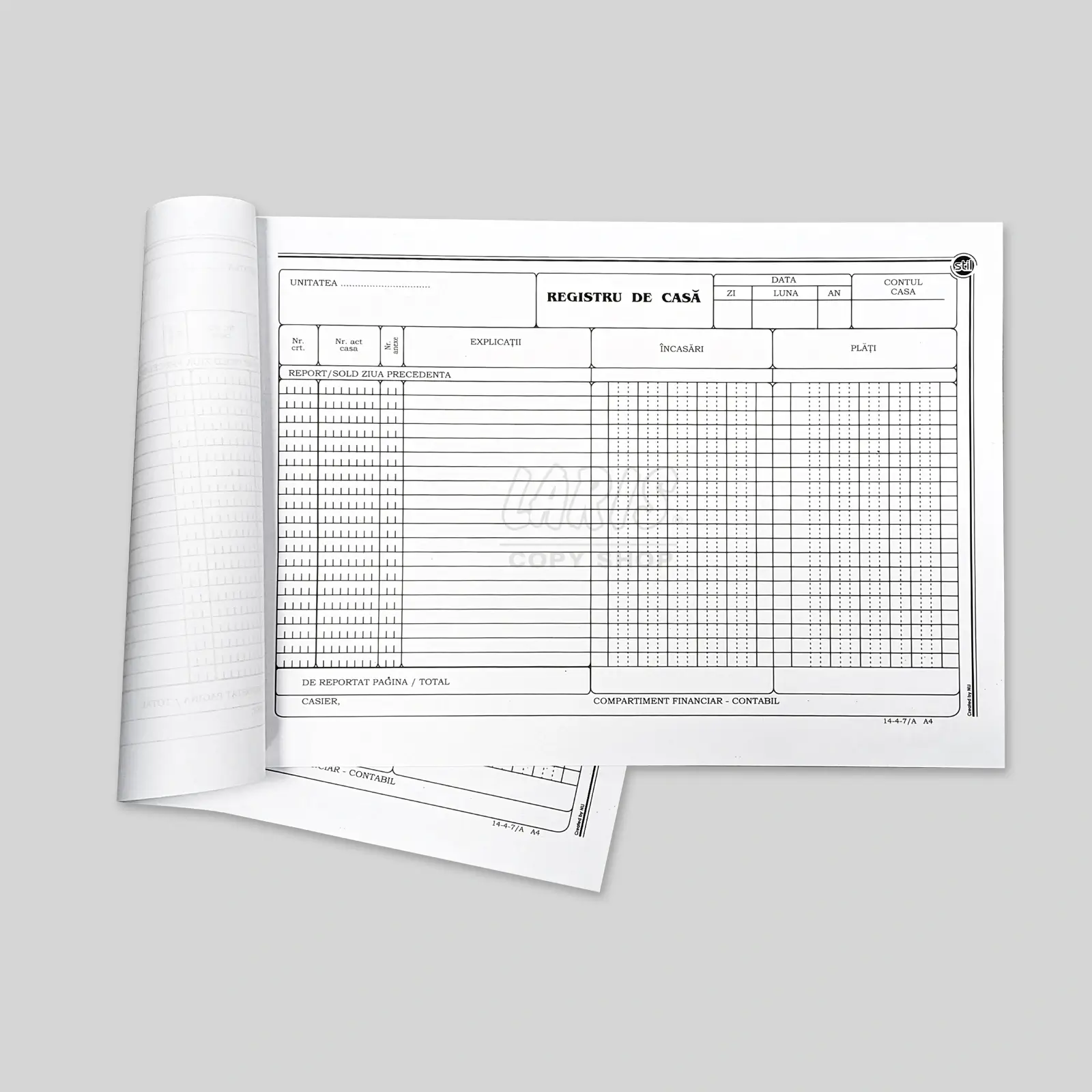 Tipizate - Registru de Casă A4 Offset – 100 File