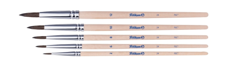 Set 5 pensule cu varf rotund Pelikan Starter (Nr. 2, 4, 8, 10, 12) [2]