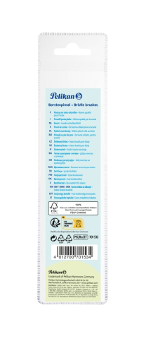Set 5 pensule cu varf lat Pelikan Starter (Nr. 2, 4, 8, 10, 12) [1]
