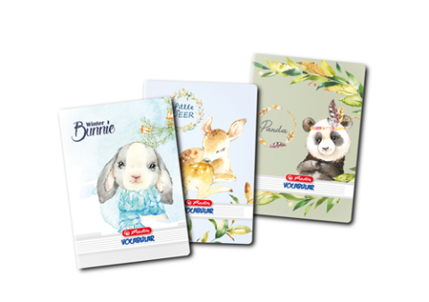 Caiete speciale - VOCABULAR A6 24F DIVERSE MOTIVE