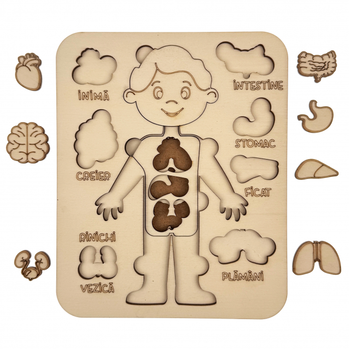 puzzle educativ corp uman baiat din lemn cu organe interne, stil Montessori [1]