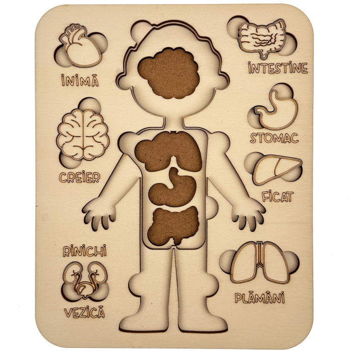 puzzle educativ corp uman baiat din lemn cu organe interne, stil Montessori [2]