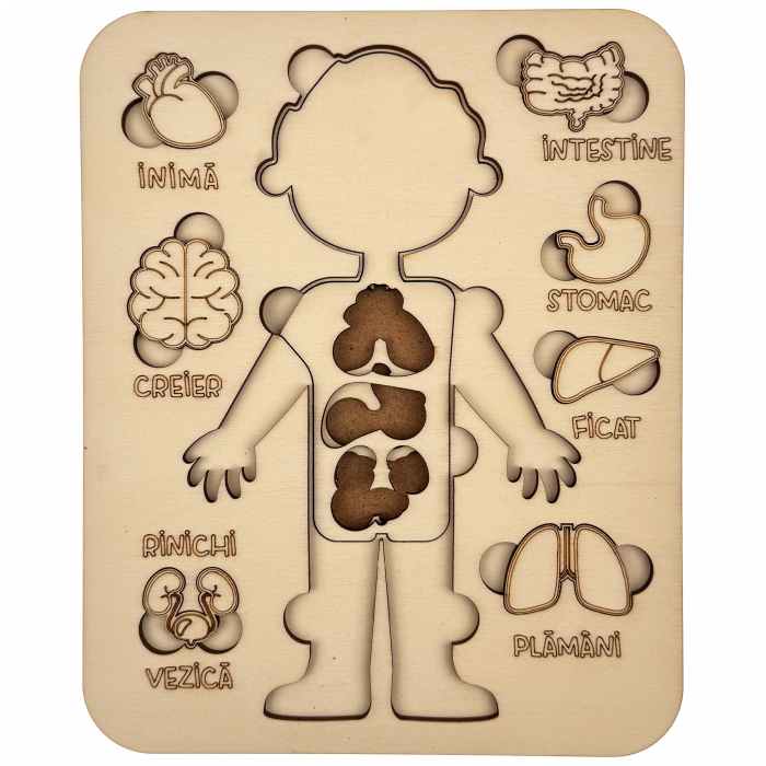 puzzle educativ corp uman baiat din lemn cu organe interne, stil Montessori [3]