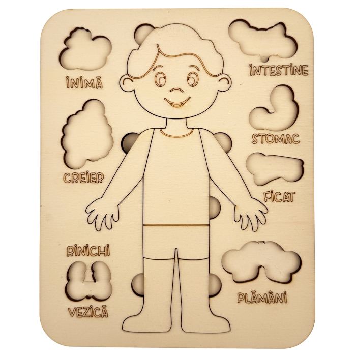 puzzle educativ corp uman baiat din lemn cu organe interne, stil Montessori [6]