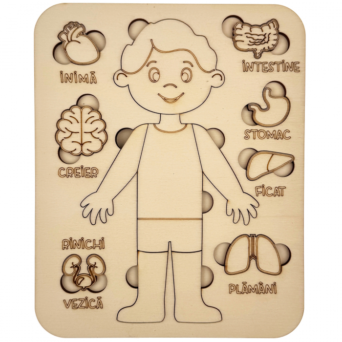 puzzle educativ corp uman baiat din lemn cu organe interne, stil Montessori [7]