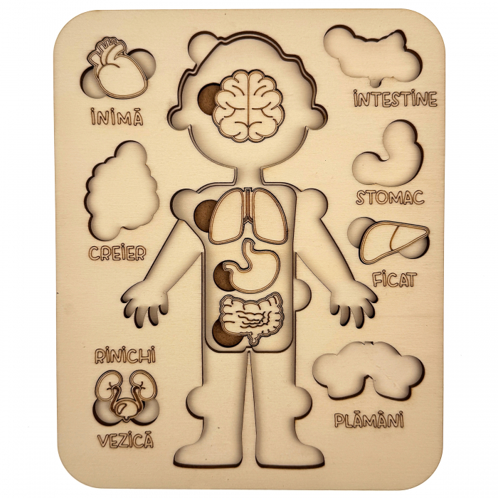 puzzle educativ corp uman baiat din lemn cu organe interne, stil Montessori [4]