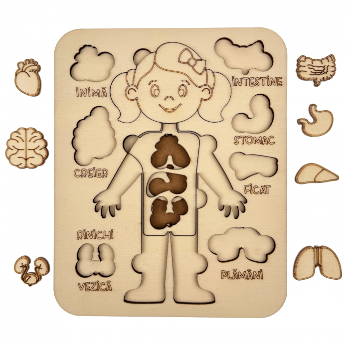 puzzle educativ corp uman fata din lemn cu organe interne, stil Montessori [1]