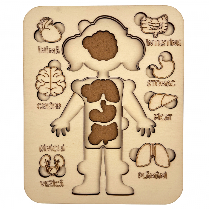 puzzle educativ corp uman fata din lemn cu organe interne, stil Montessori [2]