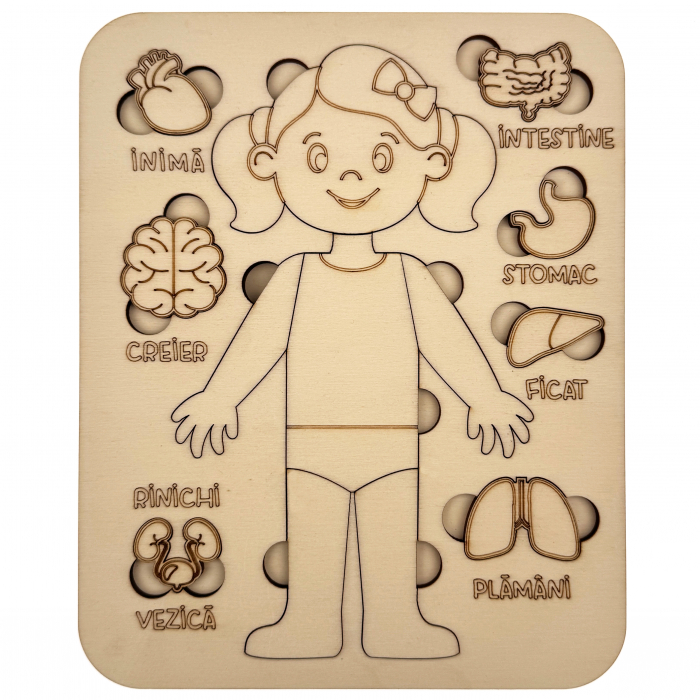 puzzle educativ corp uman fata din lemn cu organe interne, stil Montessori [7]