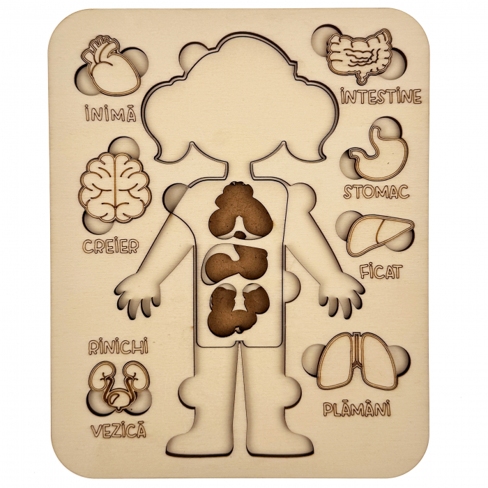 puzzle educativ corp uman fata din lemn cu organe interne, stil Montessori [3]