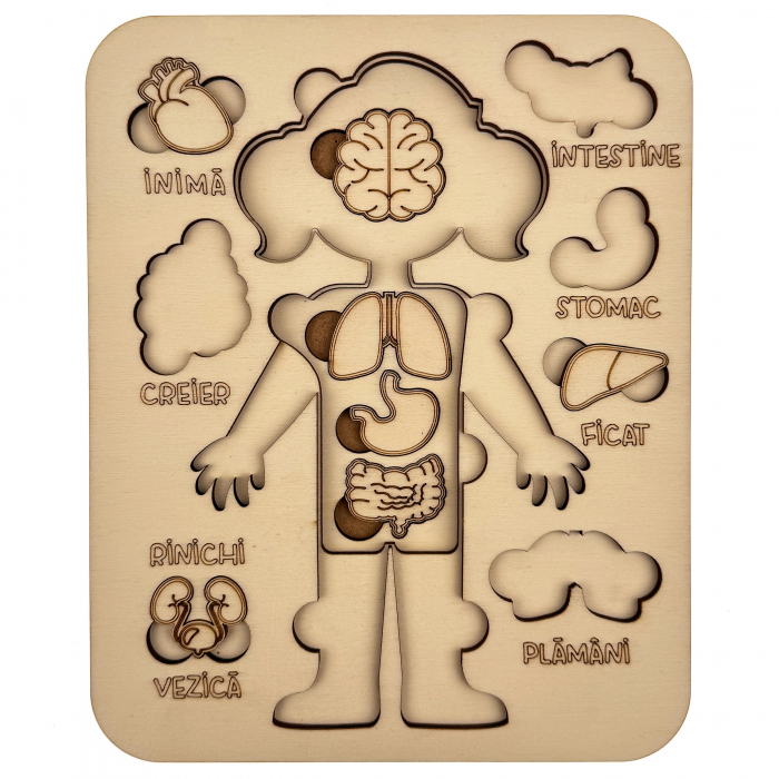 puzzle educativ corp uman fata din lemn cu organe interne, stil Montessori [4]