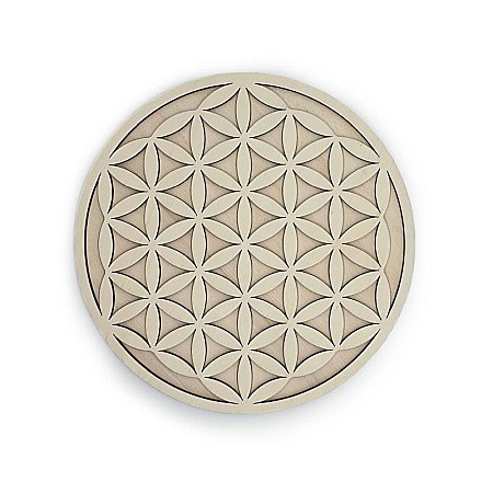 Baze pentru licheni - Floarea vietii - baza pentru licheni - BR005 - BR009