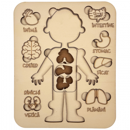 puzzle educativ corp uman baiat din lemn cu organe interne, stil Montessori [2]