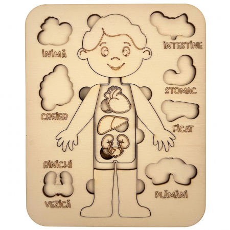 puzzle educativ corp uman baiat din lemn cu organe interne, stil Montessori [4]