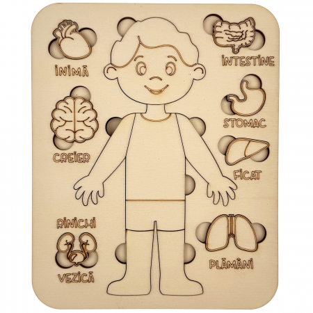 puzzle educativ corp uman baiat din lemn cu organe interne, stil Montessori [6]