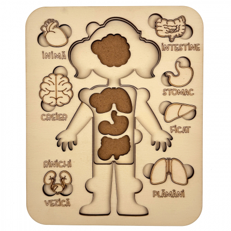 puzzle educativ corp uman fata din lemn cu organe interne, stil Montessori [1]