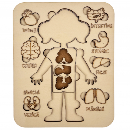puzzle educativ corp uman fata din lemn cu organe interne, stil Montessori [2]