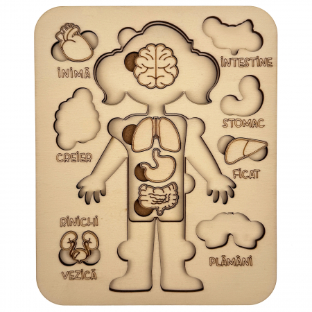 puzzle educativ corp uman fata din lemn cu organe interne, stil Montessori [3]
