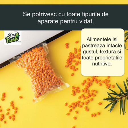 Set de 50 Pungi Vidat Latkon®, 28x40 cm, Reutilizabile, Lavabile in Masina de Spalat, Fara BPA, Rezistente la Intepaturi si Rupere, Ideale Pentru Depozitare sau Preparare Sous Vide, Transparent Mat [1]