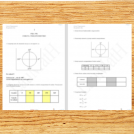 Cercul trigonometric [1]
